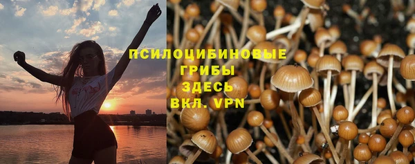 spice Алексин