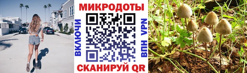 наркотики  mega онион  Псилоцибиновые грибы Magic Shrooms  Сенгилей 