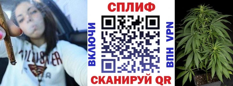 купить   Сенгилей  omg маркетплейс  Каннабис SATIVA & INDICA 